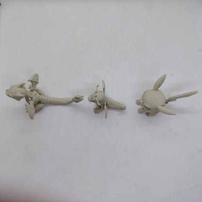 PROMO POKÉMON ESQUELETO